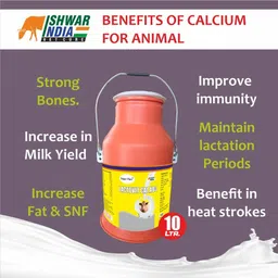 super pure LACTOVIT Cal AD3 Milkcan – Calcium & Vitamin AD3 Tonic for Cows, Goats & Sheep Pet Health Supplements image 3