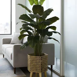 AARVI DECOR STUDIO Gold-Toned Freestanding Hexagonal Metal Luxe Planter-picture-26