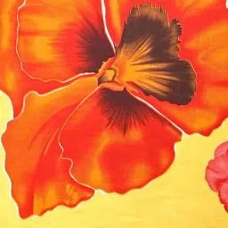 Leelavati Floral Pure Chiffon Designer Saree image 2