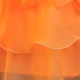 StyleCast x Revolte Embroidered Fit & Flare Dress image 2