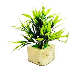 Dekorly Green Artificial Flowers & Plants With Pot image 5
