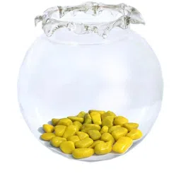 SOMIL Transparent Glass Fish Bowls-picture-35