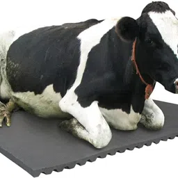 haryana jindal Premium Origna Dishwasher Safe, Waterproof, Raised Edges, Mat for Cows, Buffalo Cow, Dog, Hamster, Guinea Pig, Miniature Pig Pet Mat image 3