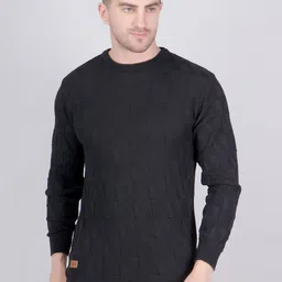 The Roadster Lifestyle Co. Men Textured Knit Round Neck Sweater-image-95