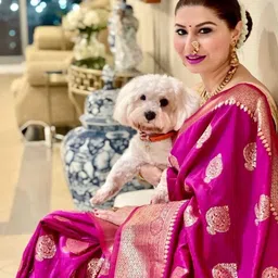 Aamish fashion Woven Design Zari Art Silk Handloom Banarasi Saree image 3