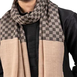 Naureen Men Checked Stole image 5