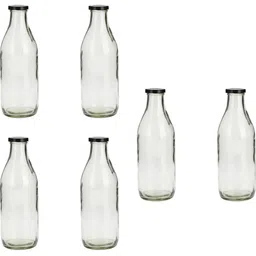 1ST TIME Set Of 6 Transparent Glass Freezer Safe Water Bottle-image-80