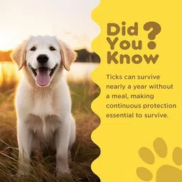 pil Flea and Tick Unscented Dog, Cat Shampoo image 2