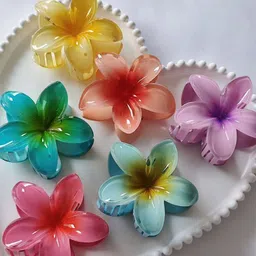 Elecsera Durable Elegant Set of 6 Claw Clip-image-99