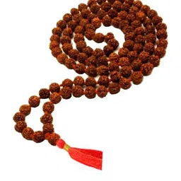 RAVIOUR LIFESTYLE Synthetic Necklace-picture-13