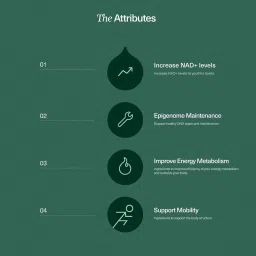 Varalife VaraSpan NAD+ Boosting Supplement NMN 250mg per serving, Vitamin K2, Vitamin D3, Resveratrol, Veg DHA for Improved Muscle Strength & Energy, Neurological Function, Heart Health - 30 capsules image 4