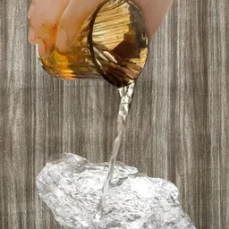 the furnishing tree Compatible for Morphy Richards 20 L Solo 20 image 2