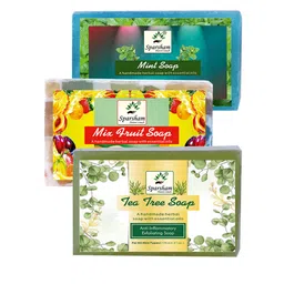 SPARSHAM-NATURE'S TOUCH Set Of 3 Mint, Mix Fruit & Tea Tree Soap - 125 g Each-image-15