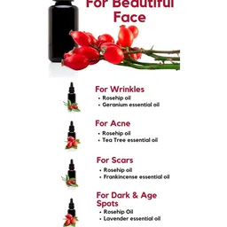 Park Daniel Set Of 2 100 % Pure & Natural Rosehip Oil & Moringa Oil- 100 ml Each image 4