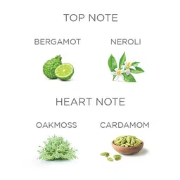 yardley london Gentleman Elite Collection Classy Musk Body Perfume 120ml Perfume Body Spray-For Men image 5