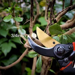 daccfy Gardening Scissors Plants Scissor | Garden Shear Tree Branch Pruner Gardening Cutter Tool | Plant Cutter for Home Garden | Wood Branch Trimmer Bypass Pruner image 2