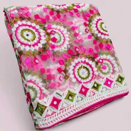 dharmee Net Embroidered Multicolor Women Dupatta image 1