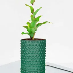 LASAKI Bubble Green Ceramic Handmade Large Planter With Plate-picture-15