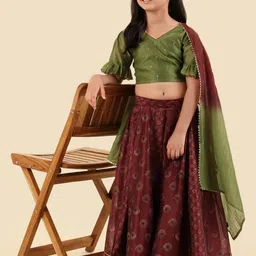 Fabindia Girls Embellished Sequinned Ready to Wear Lehenga & Blouse With Dupatta image 5