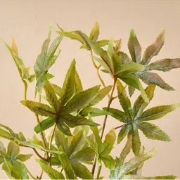 Home Centre Green & Brown Maple Leaf Stem Artificial Flower image 4