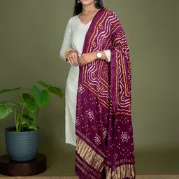 Ushvii Printed Cotton Silk Bandhani Dupatta-picture-26