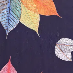 Anouk Floral Printed Ready to Wear Saree image 3