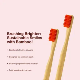 Dencrus Set Of 5 Orby Plus Bamboo Toothbrush image 3
