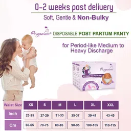 Pregawear Women Pack Of 5 Leak-Proof Disposable Maternity Underwear Basic Briefs PF005A0XS image 2