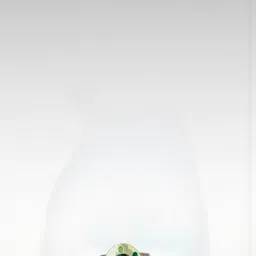 R G MART Unisex Gold-Plated Brass Finger Ring image 3