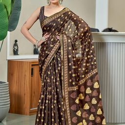 Panzora Zari Bagru Saree-picture-28