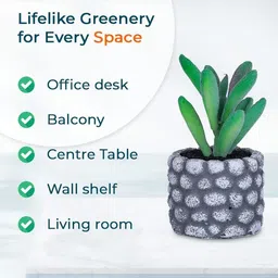 Ekhasa Green 1 Pieces Artificial Plant With Pot image 5