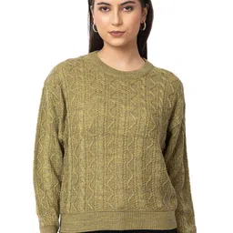 Dadu Dayal Women Self Design Woollen Pullover Sweaters-image-69