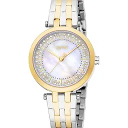 ESPRIT Women Embellished Dial & Stainless Steel Straps Analogue Watch ES1L457M0055-picture-35