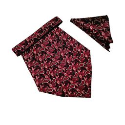 voici Paisley Design Cravats & Pocket Square Combo-picture-0