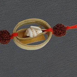 tej gifts Designer Hand Made Unique Eco Friendly Bamboo Assorted Rakhi Set image 2