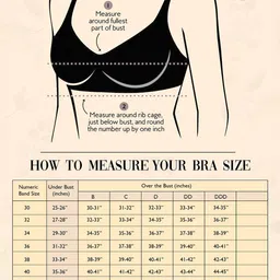 POOJA RAGENEE Nylon Non-Wired Non Padded Everyday Bra image 2