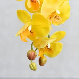 paperi Yellow Orchid Without Pot Non-Hanging Artificial Flower image 2