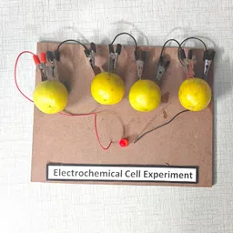 erhindia Electrochemical Cell Experiment Class 12 Investigatory Science Project image 4