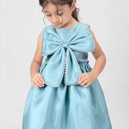 SHRVAAY GROUP Satin Fit & Flare Dress-picture-17