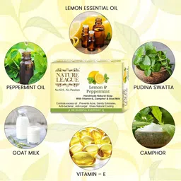 NATURE LEAGUE Set Of 3 Lemon & Peppermint , Turmeric & Sandalwood Soap - 100 g Each image 2