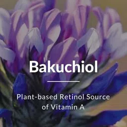 Lotus Botanicals Set Of 2 Bio Retinol Youth Radiance Ultra Cream & Sleeping Mask-50 g Each image 4