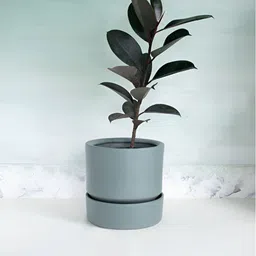 FREEDOM TREE Nested Grey TexturedCeramic Planter With Tray-picture-19