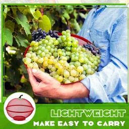 vahicha Shape Fruit & Vegetable Basket With Protective Lid Stainless Steel Fruit & Vegetable Basket image 3