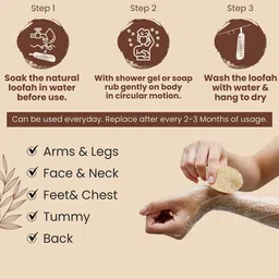 GLISNA Set Of 2 Sun Dried Loofah & Bath Scrubber image 4