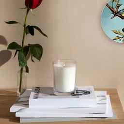 THE QUIRKY HOME Blue Colorful Bird On A Branch Printed Ceramic Decorative Wall Decor-picture-35