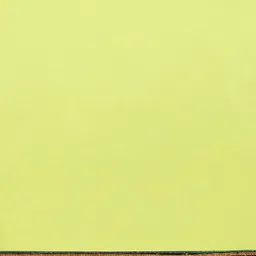 DIVASTRI Bandhani Embroidered Pure Georgette Bandhani Saree image 2