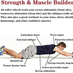 iamalot Anti Skid Double Wheel Total Body AB Roller Exerciser Ab Exerciser image 3