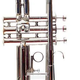 skylark international TRMSLR01 Bb Trumpet image 1