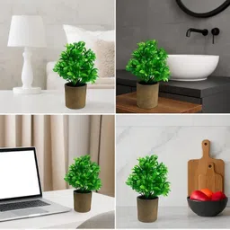 yarnlay india Multicolor Wild Flower Artificial Flower with Pot image 2