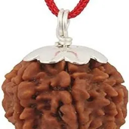 urbanzebra 7 Mukhi Rudraksha Seven face indonesia Rudraksha Pendant Silver Wood Pendant-picture-17